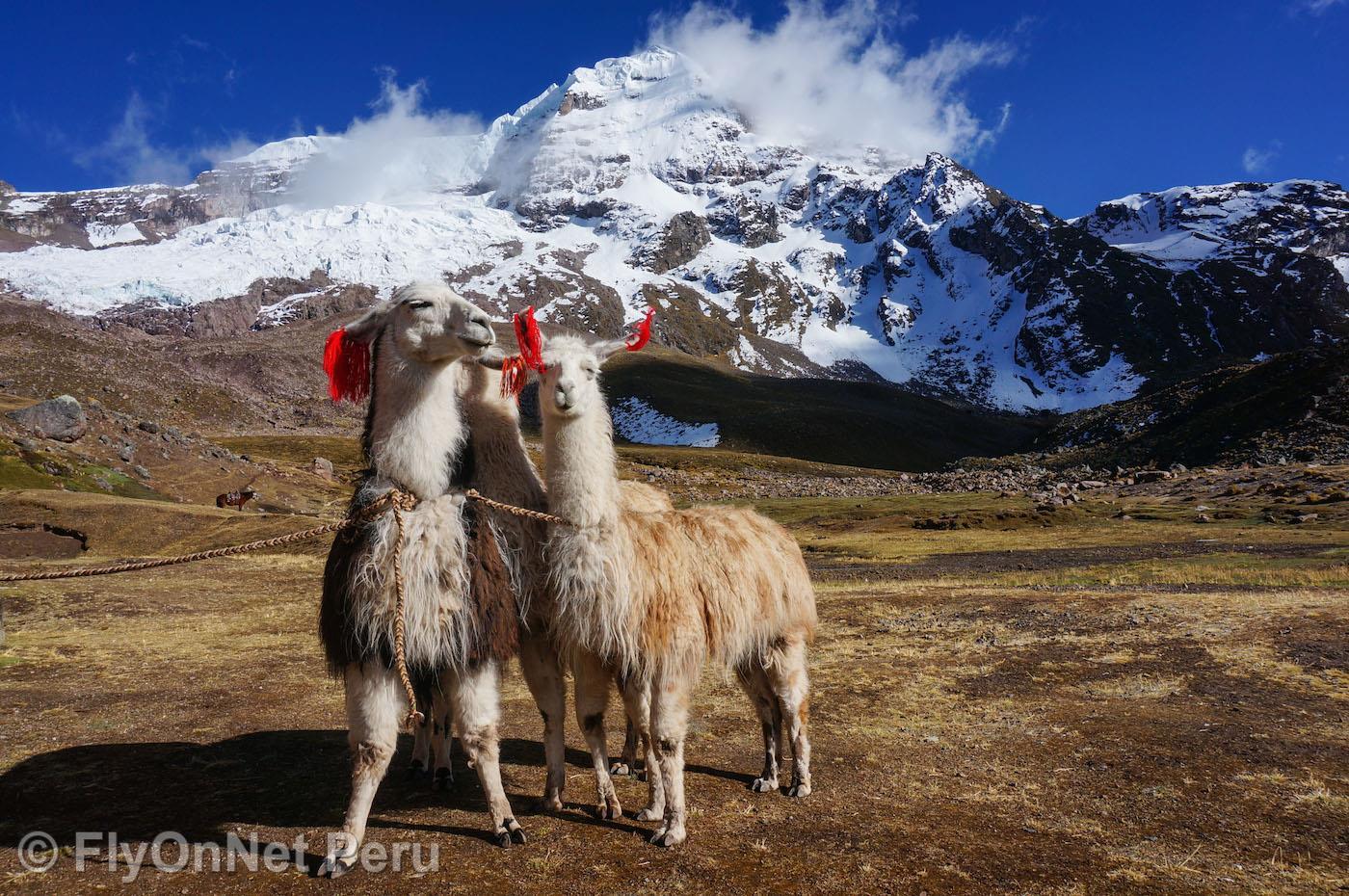 Photo Album: Salkantay