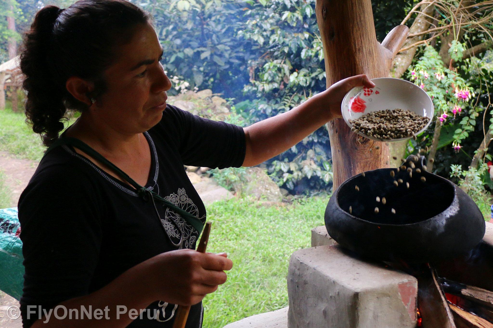 Photo Album: Visit to the coffee plantation