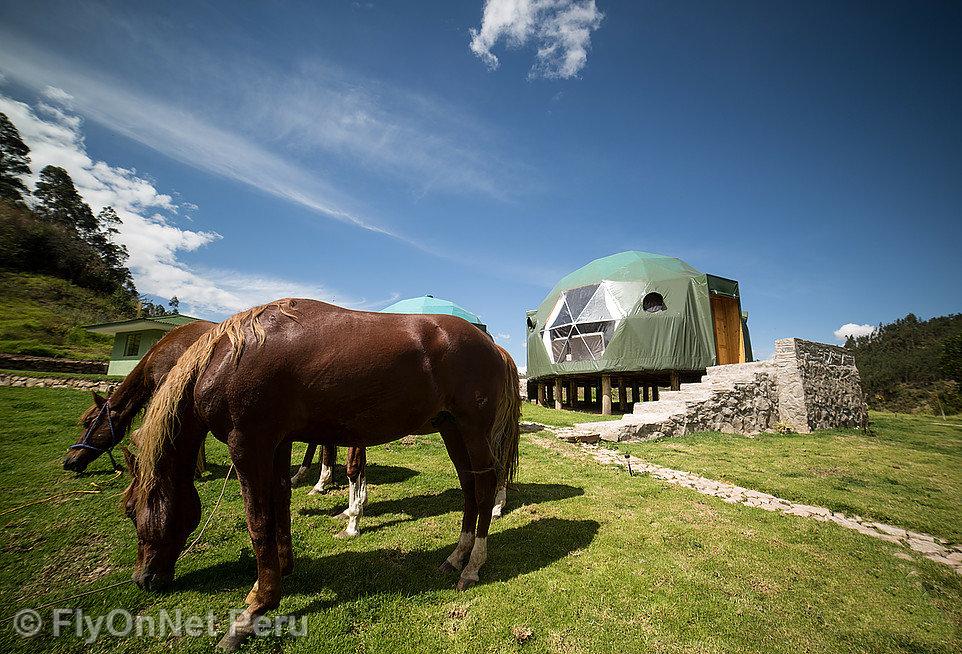 Photo Album: Luxuary geodesic dome