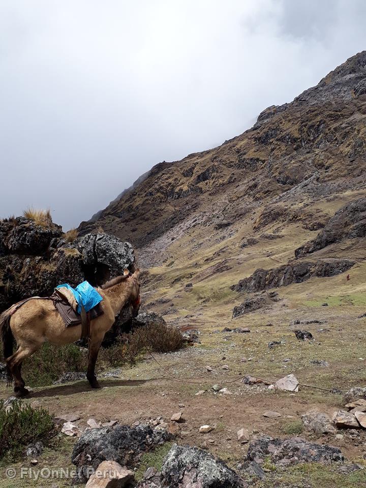 Photo Album: Salkantay