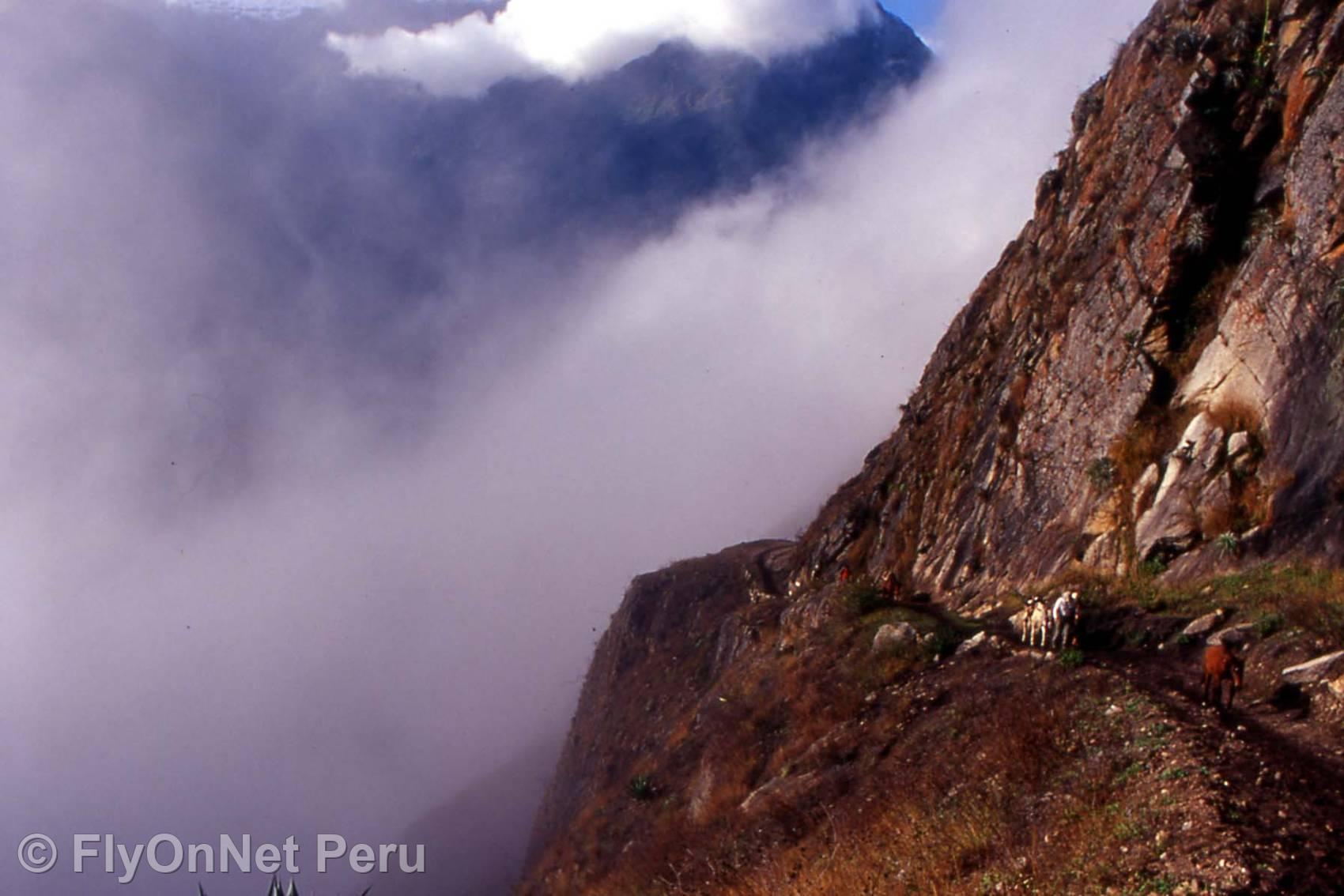 Photo Album: Inca Trail