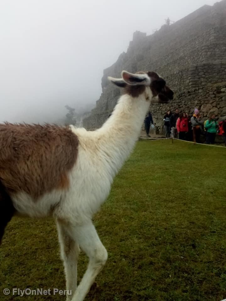 Photo Album: Machu Picchu