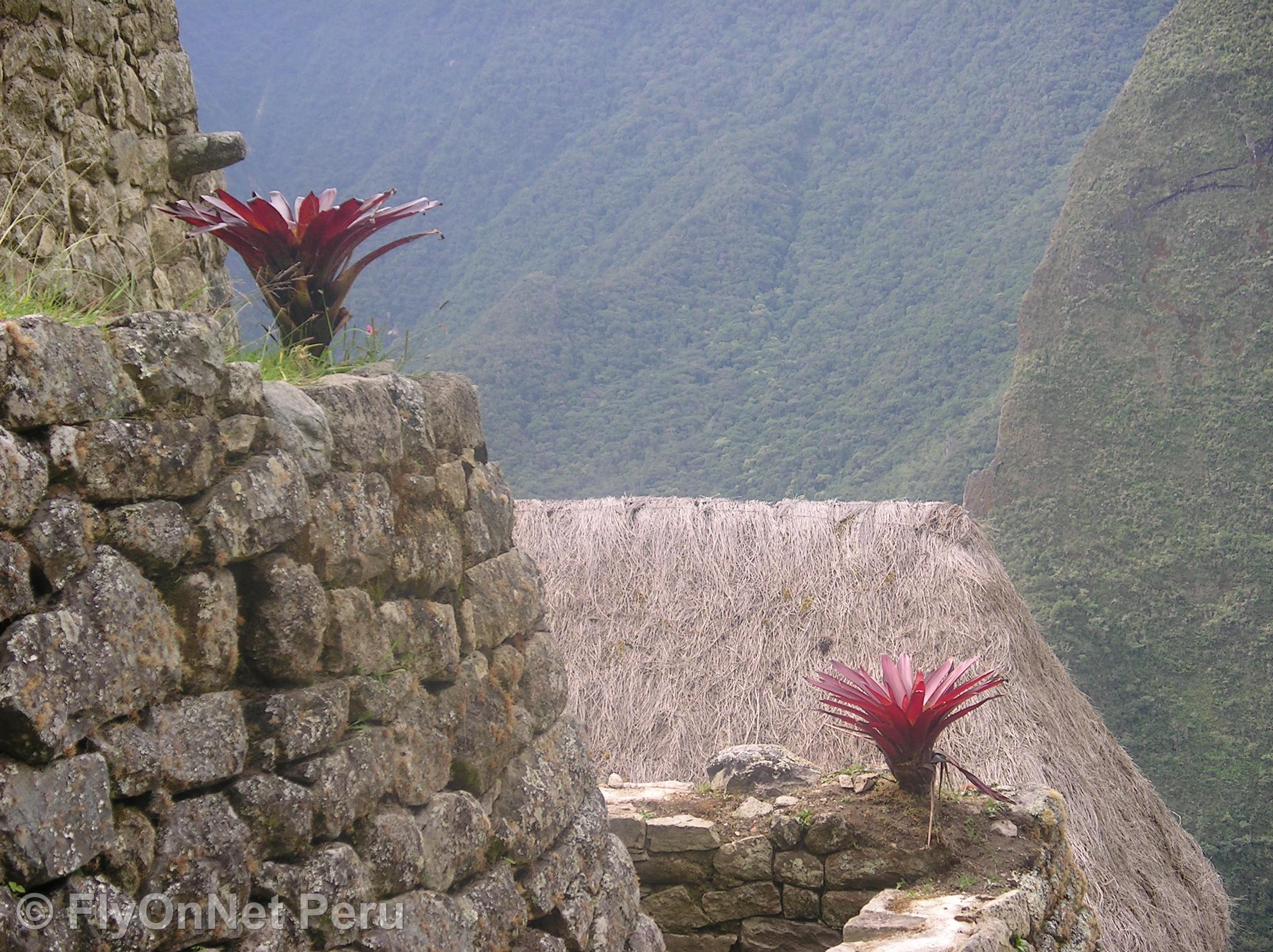 Photo Album: Machu Picchu
