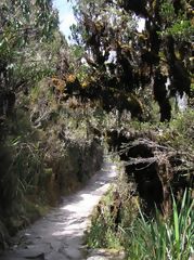Inca Trail